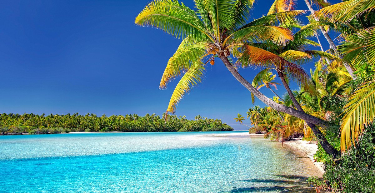 riadmeddeb's tweet photo. Are you interested in working on #Blue Economy in Small Island Developing States? 🏝️🌊🐠Great career opportunity, APPLY 👉https://t.co/xwiSZ0QmFh

#UNDP4SIDS #RisingUpForSIDS #UNDP #SIDS https://t.co/EORX6aYvGp