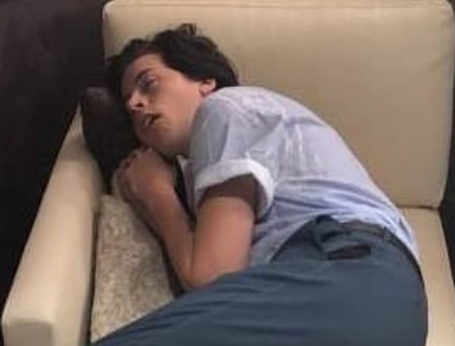 Mrs_SmokeSprite's tweet photo. - Cole Sprouse as a Capivara; Thread
@colesprouse https://t.co/zCt8ae9Ltj