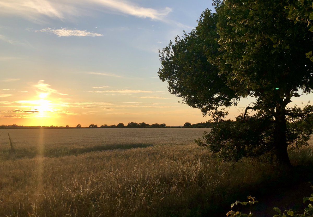 yorksbulls's tweet photo. @BBCWthrWatchers  lovely sunset this evening in Langham, Essex https://t.co/25pijoV2cr