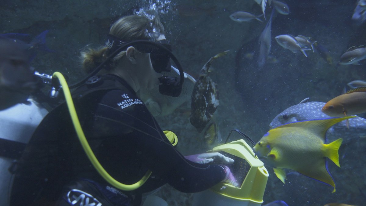 National Aquarium tweet media
