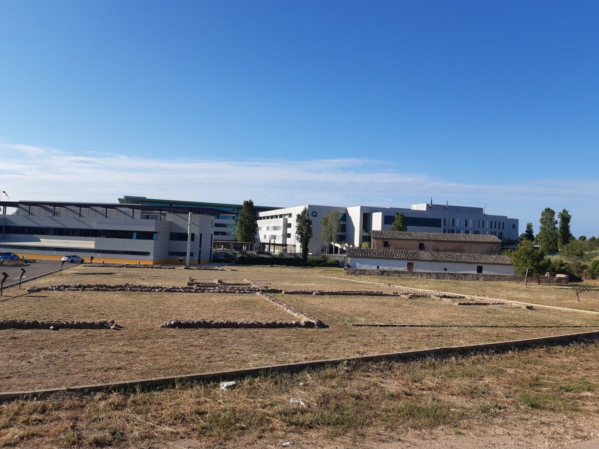 Sabíeu que el primer establiment romà al terme de #Palma, abans de fundar la ciutat a la costa, va ser un gran campament militar entre #SonEspases i #SonCabrer, prop d’un poblat talaiòtic? A <a href="/SonEspases/">HU Son Espases</a>