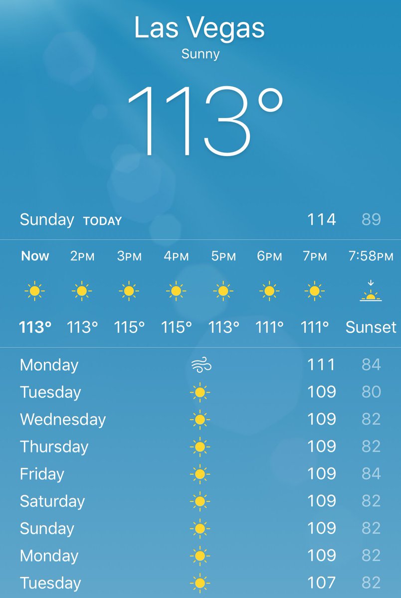 Dummblond tweet media