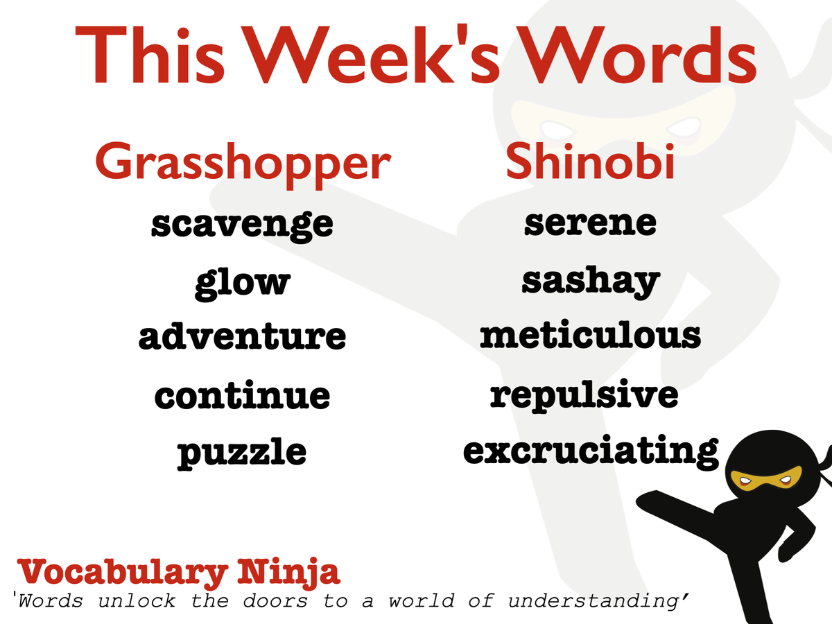 VocabularyNinja's tweet photo. This Week's Words are the final set of the academic year! So I have decided to pick out a few of my favourite ones! https://t.co/GpYnSAP0ke
Have a great final week in school! #muchlove #vocabulary https://t.co/PLiEcDkyFu