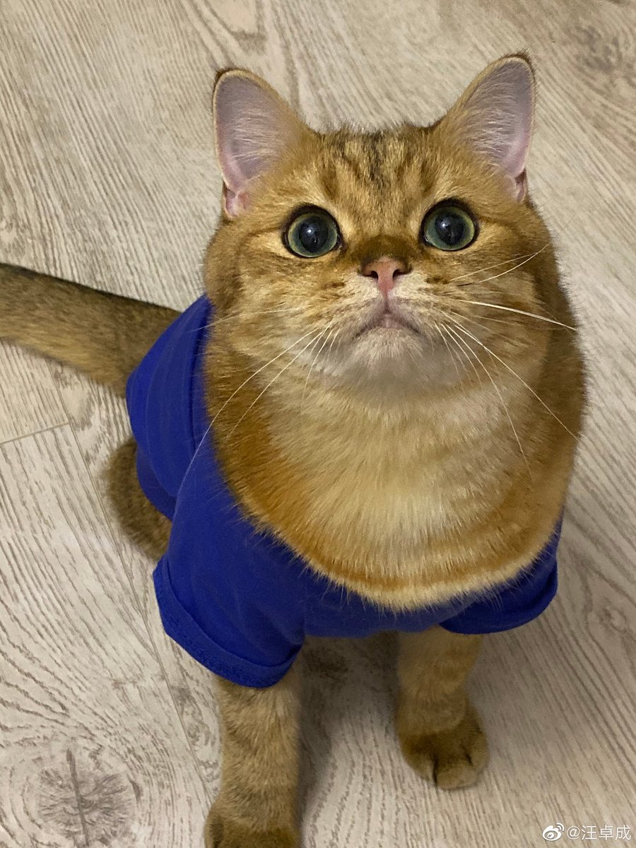 daily danta (@daily_danta) on Twitter photo 