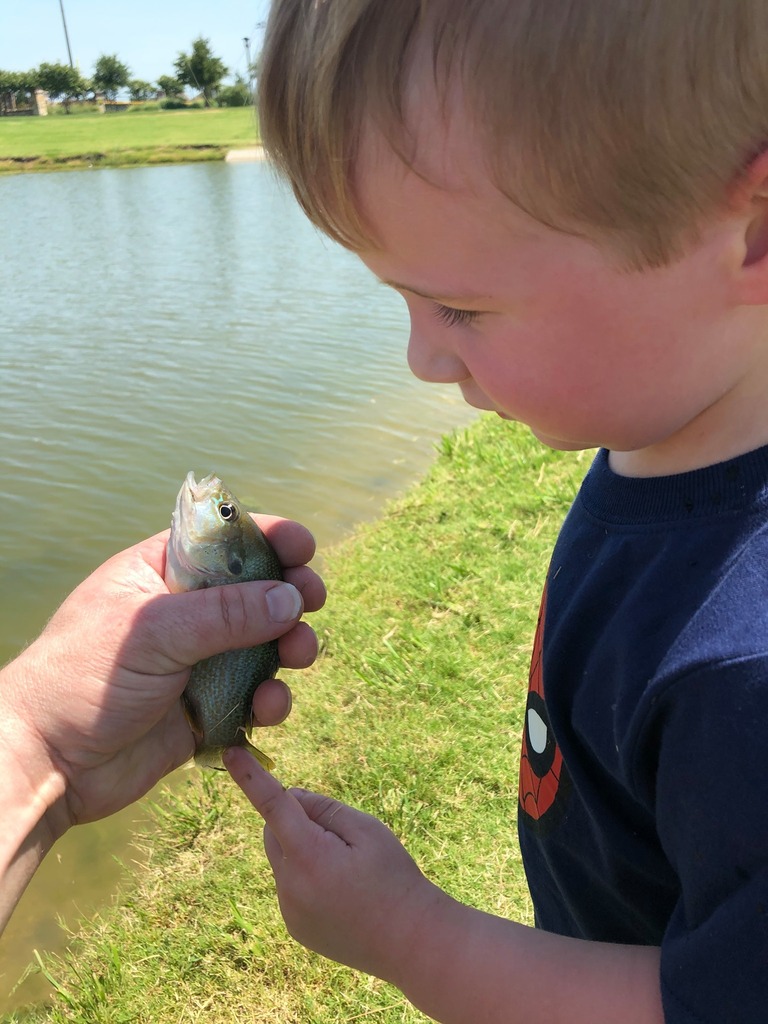 Ted Strange tweet media