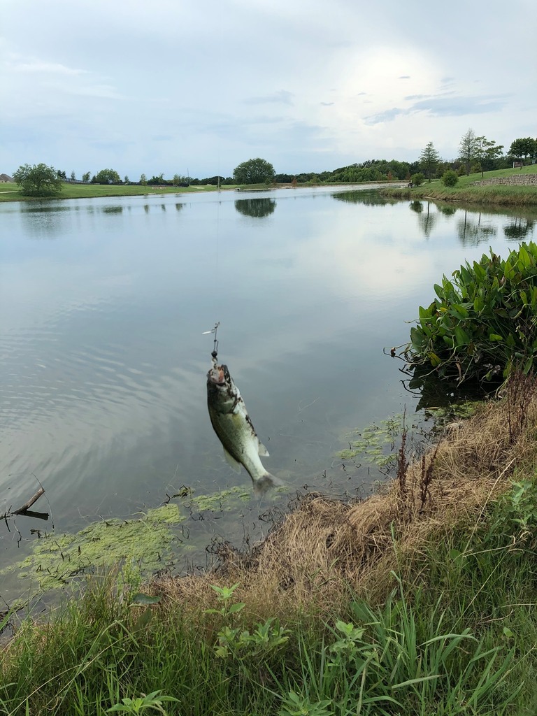 Ted Strange tweet media