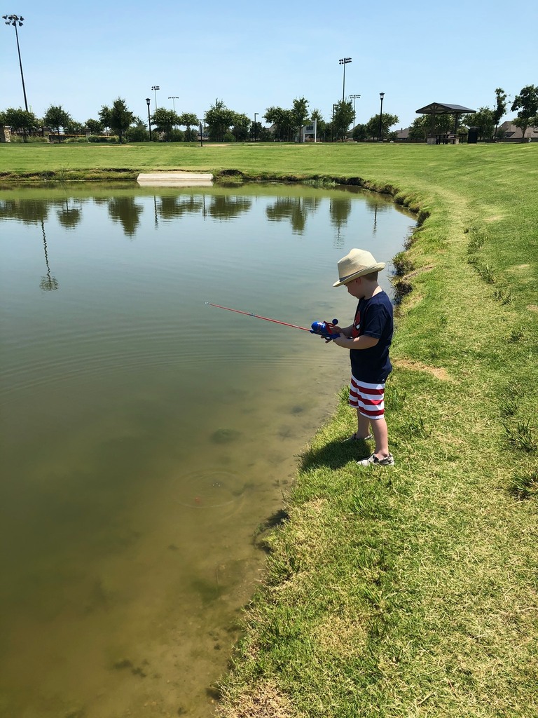 Ted Strange tweet media