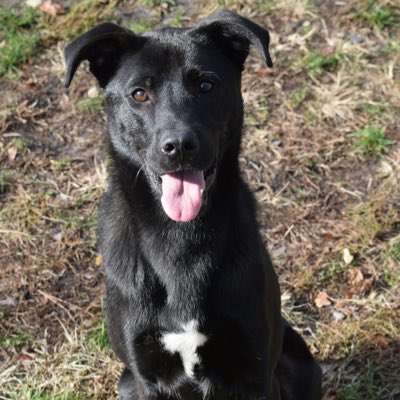 #NewProfilePic