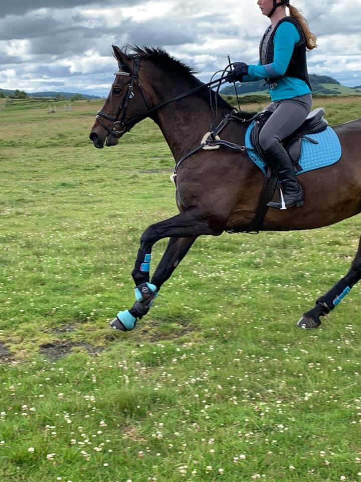 Her face says it all, lovely being back off the yard again getting ready for the up and coming season...