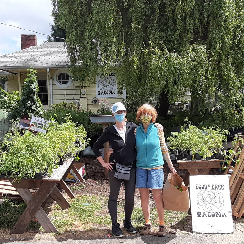 FoodisFreeTacom's tweet photo. 100s of starts thanks to Gardensphere. Tacoma Urban Farm 6515 Tacoma Avenue South #foodisfree #foodisfreetacoma #gardensforthepeople #eastwestfoodrescue #farmerfrog #feedthyneighbor #gardensphere https://t.co/xZQRvRdUwP