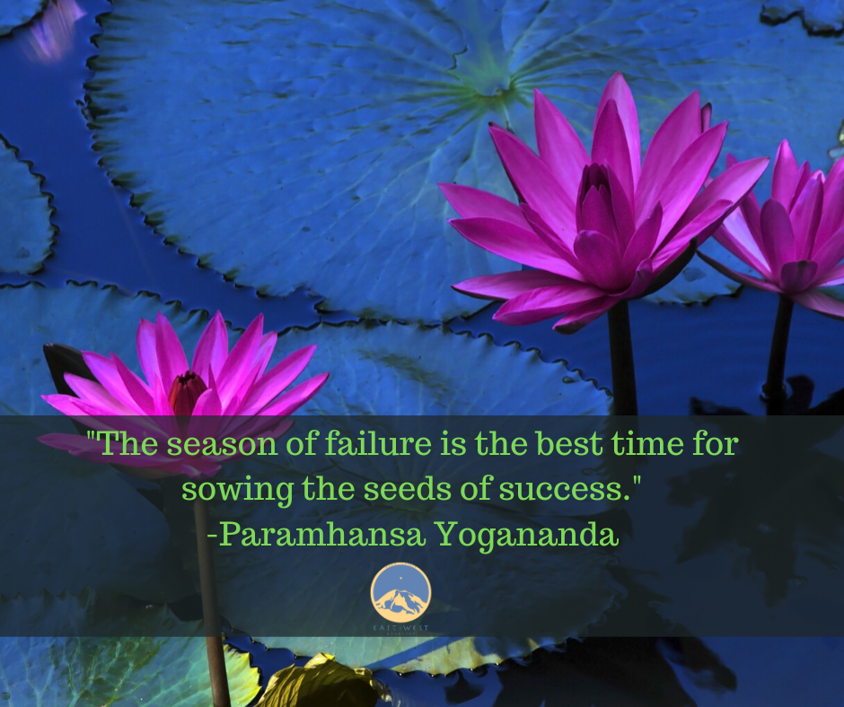 EWBookshop's tweet photo. A wise word from the guru... https://t.co/AxoxO0vJt6