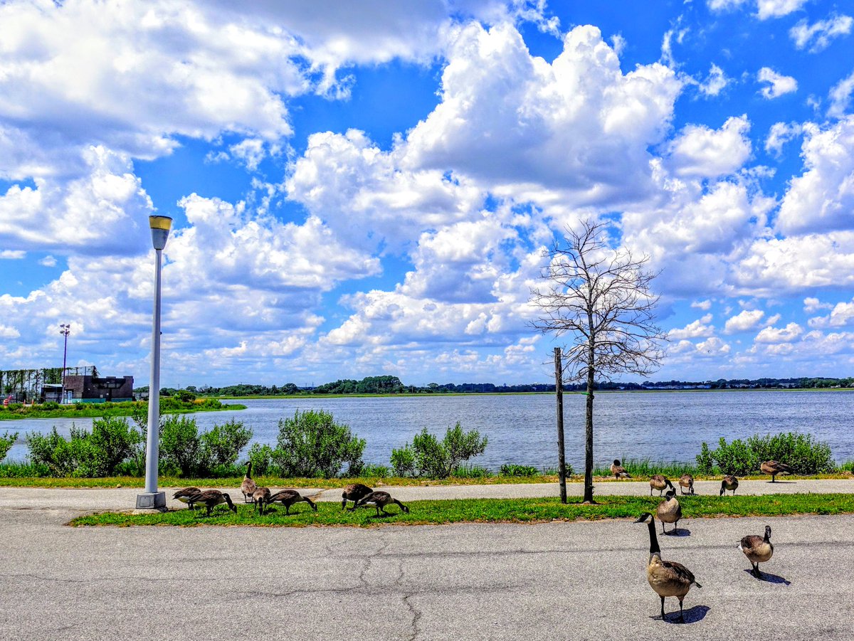 joshualebowitz's tweet image. 