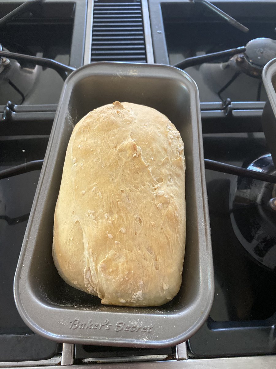 davidcwillms's tweet image. My first pass at home made bread.  A solid B IMO