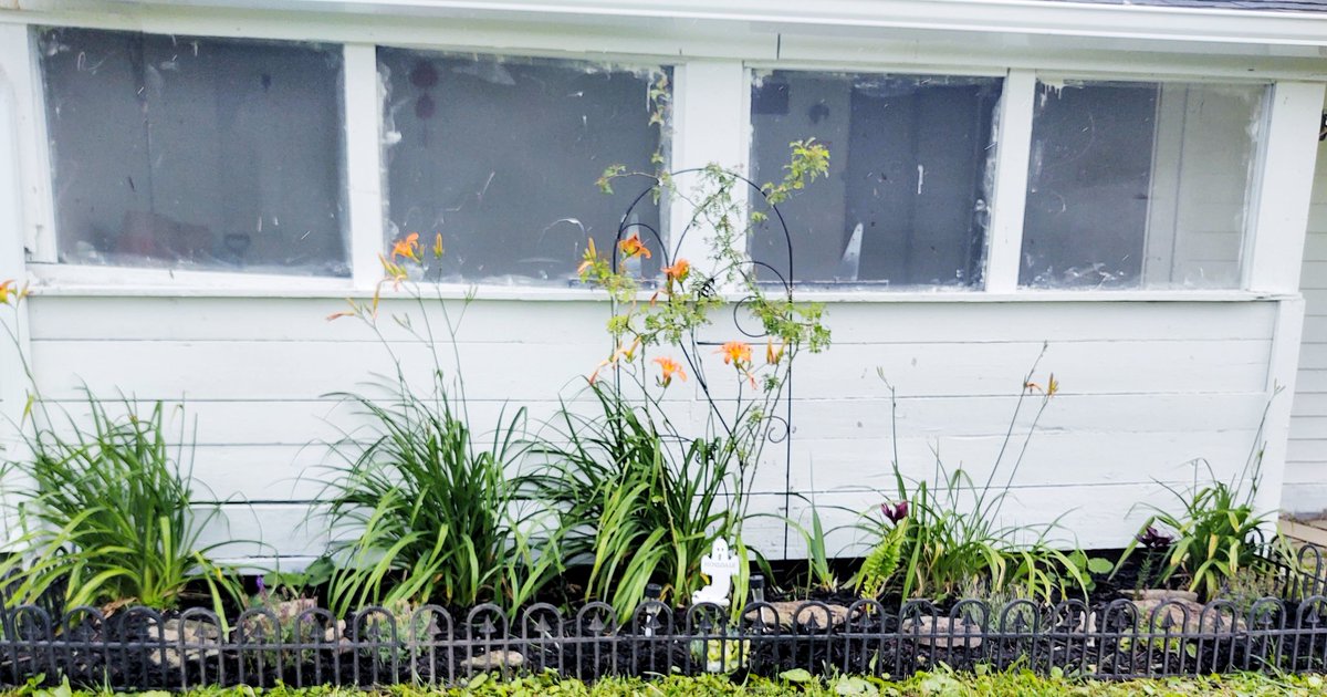Gardens For Ghosts tweet media