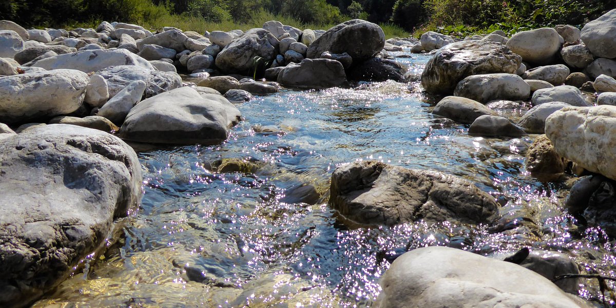 SoundForRelax's tweet image. #healthy #wellness #stress #break

VIDEO🎥💧Sound of #water💧flowing between the stones, for #resting, #sleeping, #studying 1080p 60fps HD

VIDEO🎥💧Sonido de #agua💧fluyendo entre las piedras, para #descansar, #dormir, #estudiar 1080p 60fps HD

Link:👇🎥
youtu.be/zsdeyUXlZ-k