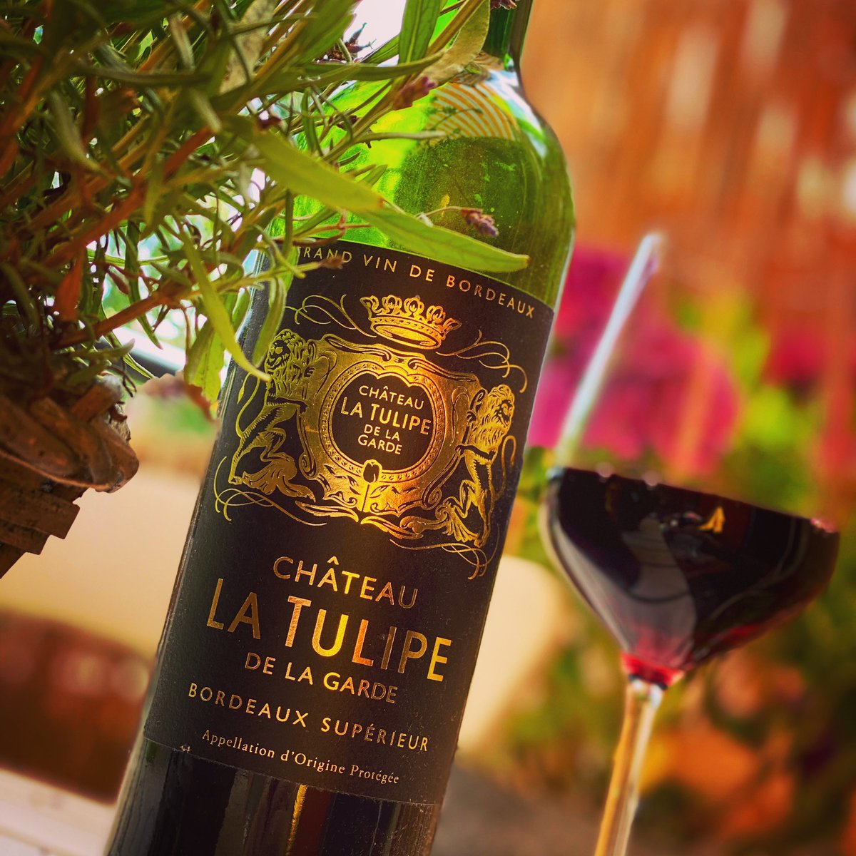 Zondagavond, tijd voor een chique wijntje met een Hollands tintje. Een fijn “kasteelwijntje” Château La Tulipe van Ilja Gort uit de Bordeaux. Zalig bij het eten,zacht in de mond. 
#frankrijk #vinwijnuitfrankrijk <a href="/chateaulatulipe/">Chateau la Tulipe</a> #iljagort #latulipe <a href="/iljagort/">Ilja Gort</a>