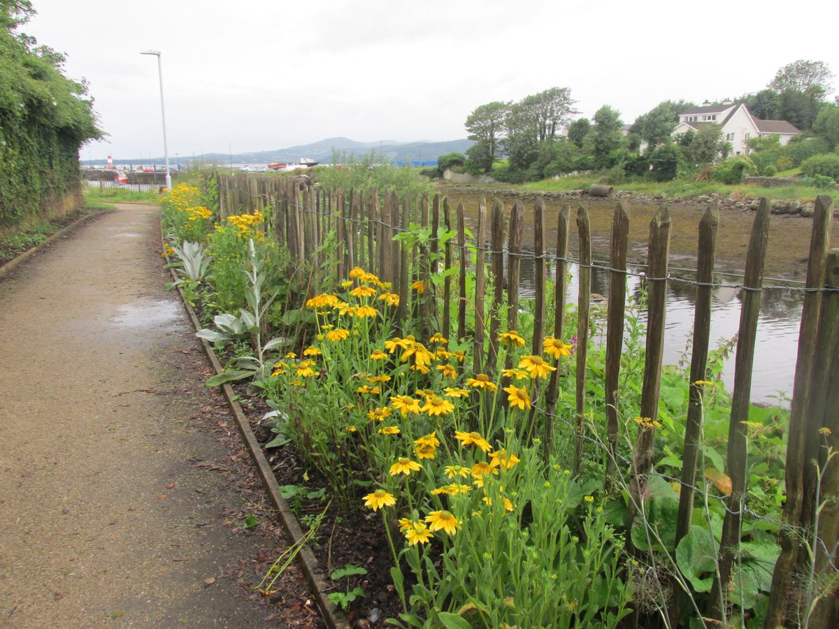 All things nice... tweet media