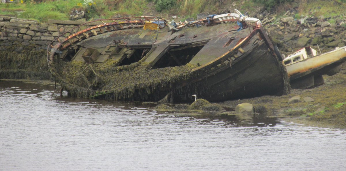 All things nice... tweet media