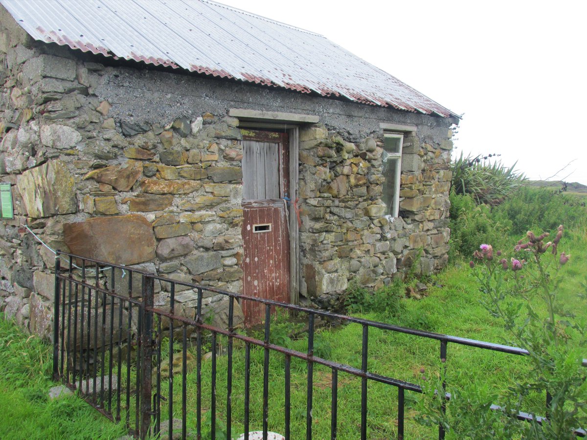 All things nice... tweet media