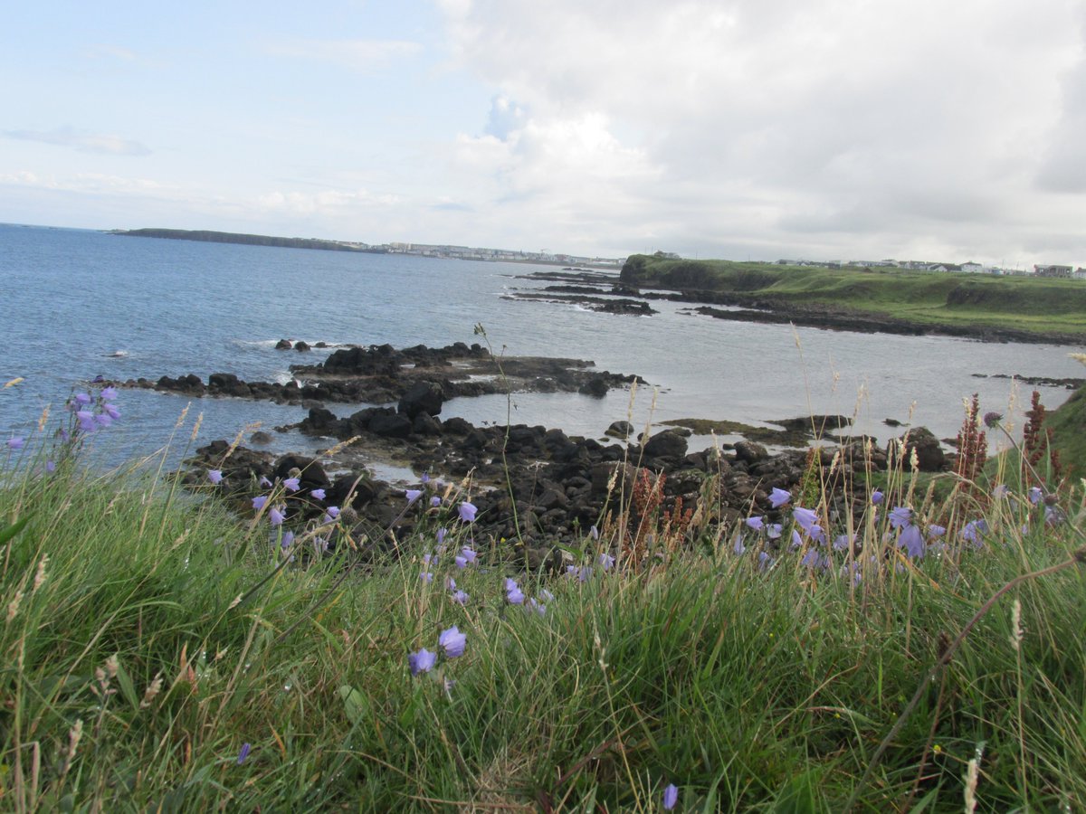 All things nice... tweet media