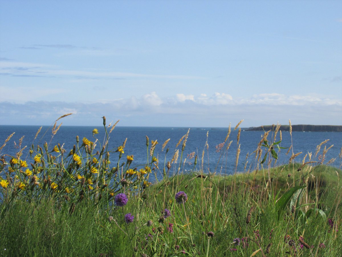 All things nice... tweet media