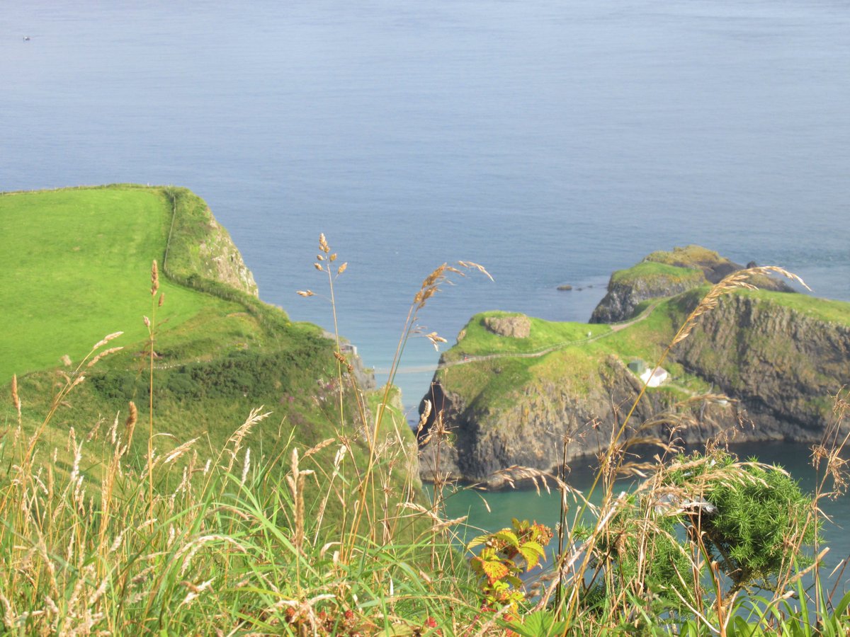 All things nice... tweet media