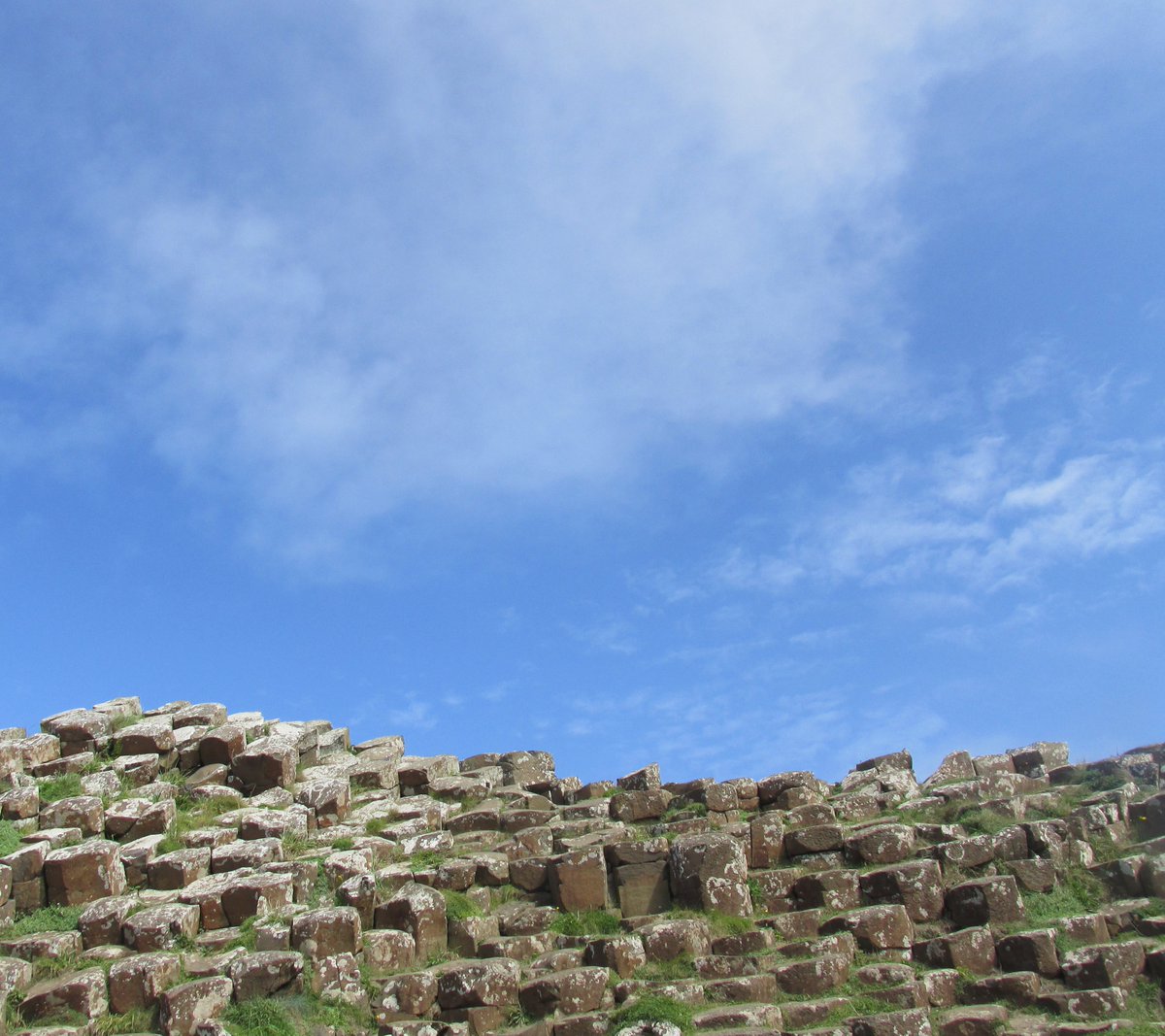 All things nice... tweet media