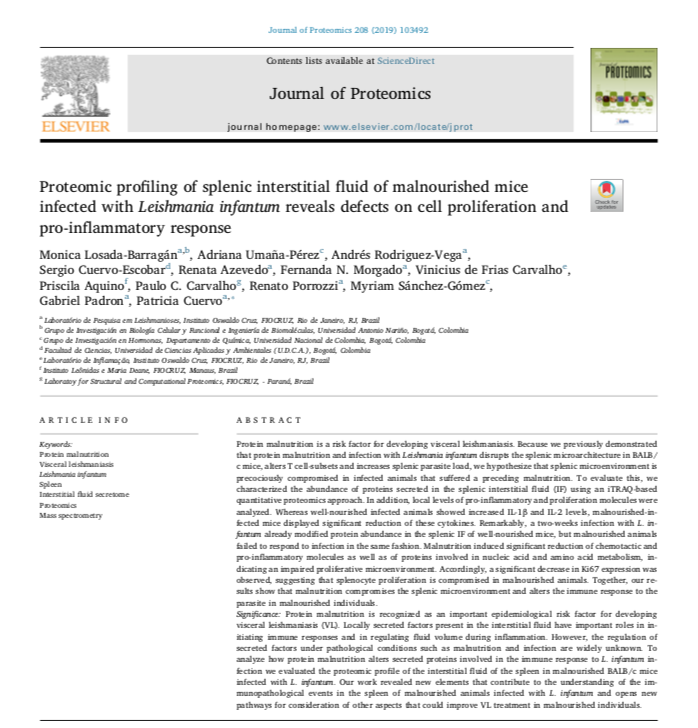 InctNim's tweet photo. Article from @ElsevierConnect! #Proteomic profiling of splenic #InterstitialFluid of malnourished mice infected with #Leishmaniainfantum reveals defects on cell proliferation and pro-inflammatory response | #Spleen #MassSpectrometry | @Vfrias_INCTNIM 
https://t.co/SxUVVpX8Ii https://t.co/BQTlmOPxIC