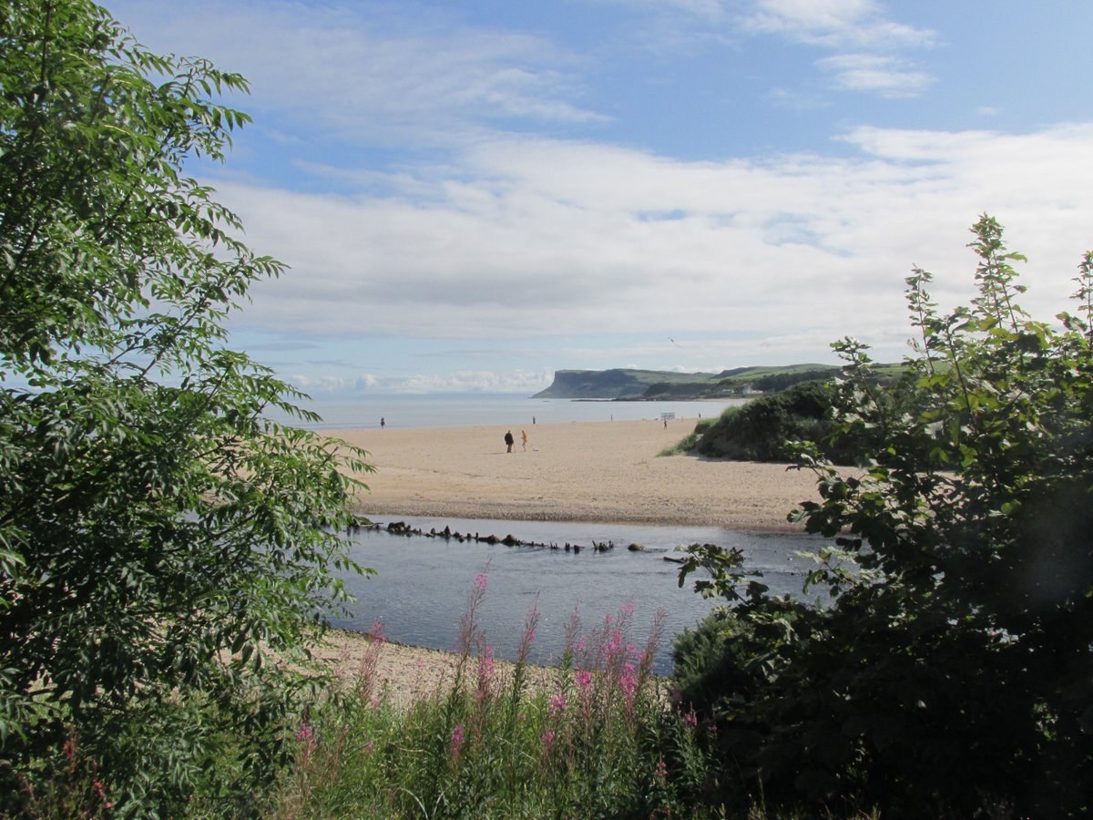 All things nice... tweet media