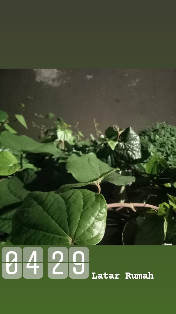 Abdul  Syahid Tamami (@bsy_tamami) on Twitter photo 