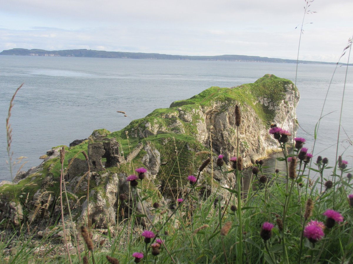 All things nice... tweet media