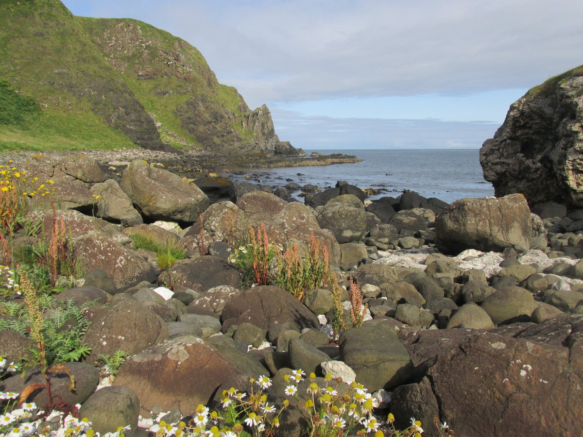 All things nice... tweet media