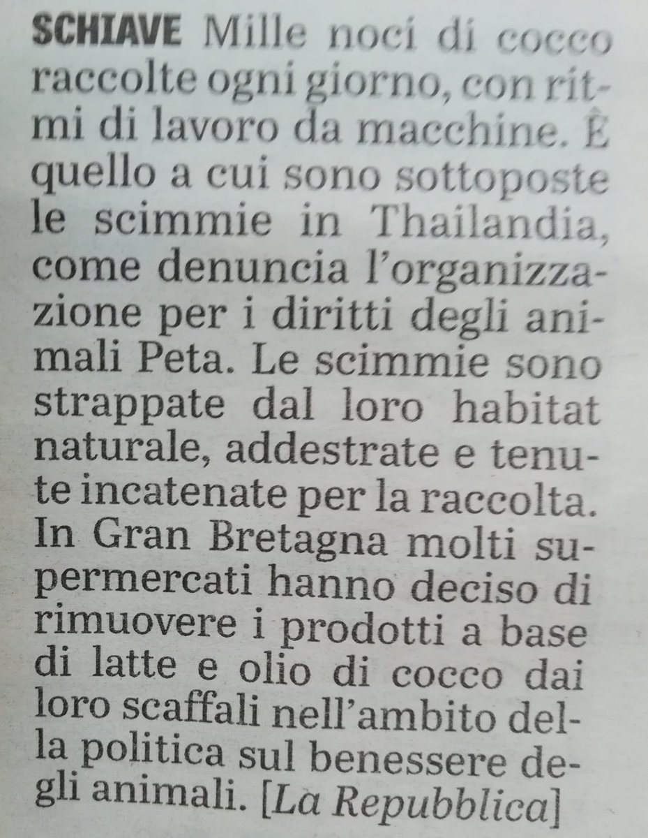 ASIATICI DI 💩💩💩💩💩🤮☠️☠️💩#freeanimals