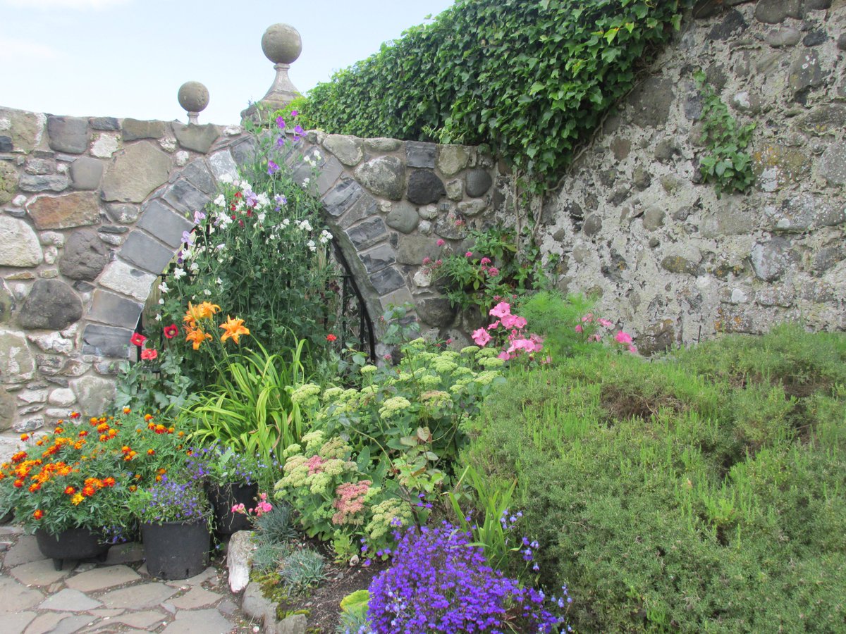 All things nice... tweet media