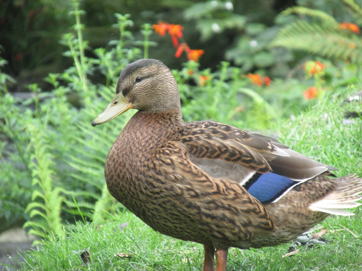 All things nice... tweet media