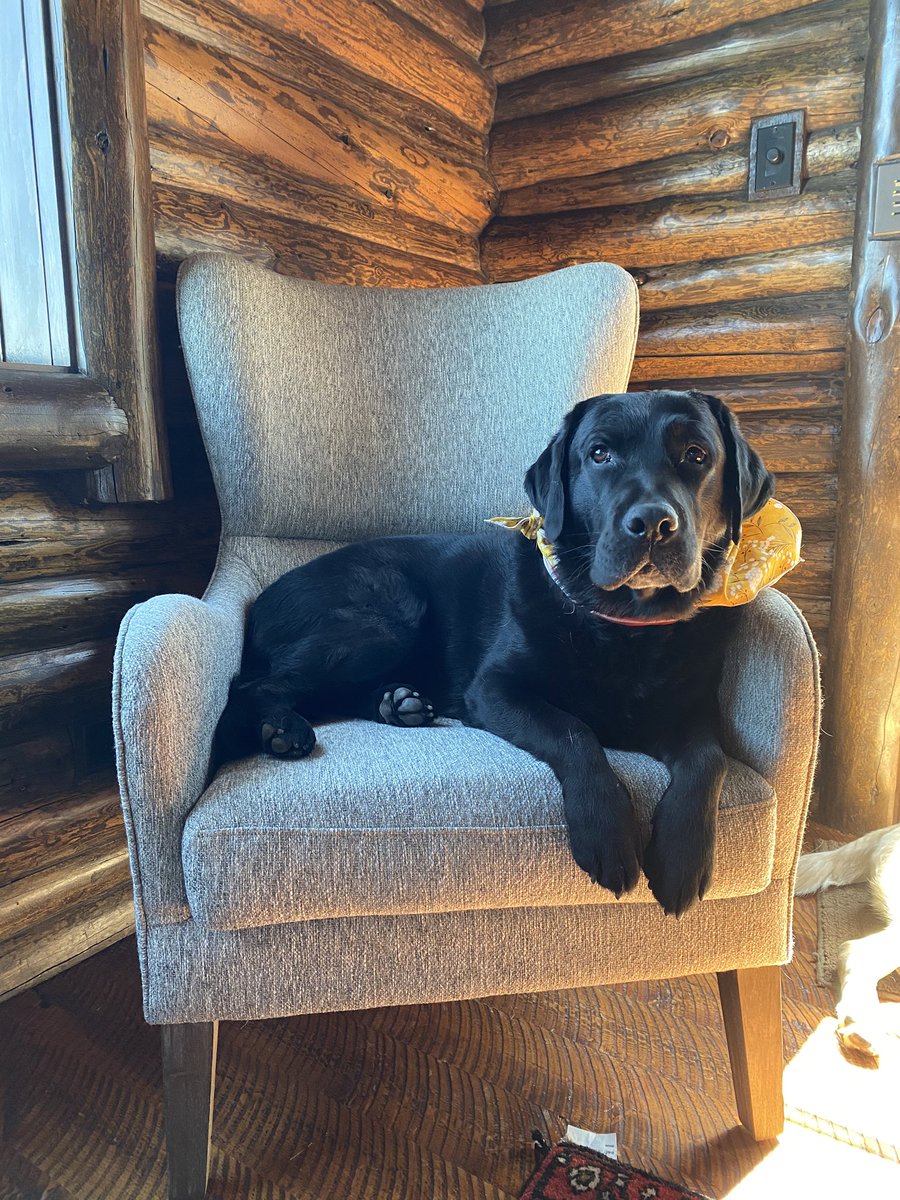 Jen Pollack Bianco tweet media