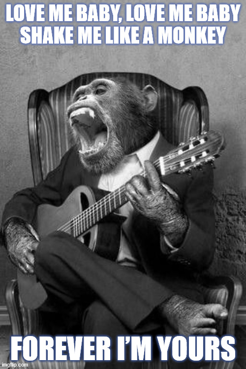 Nikton41's tweet photo. #PEACE #LOVE #CARTER #CarterBeauford #DMB #DaveMatthewsBand #Chimp #Chimpanzee #Monkey #ShakeMeLikeaMonkey #Guitar #LoveMe #Forever #ImYours https://t.co/RUirZFzGcC