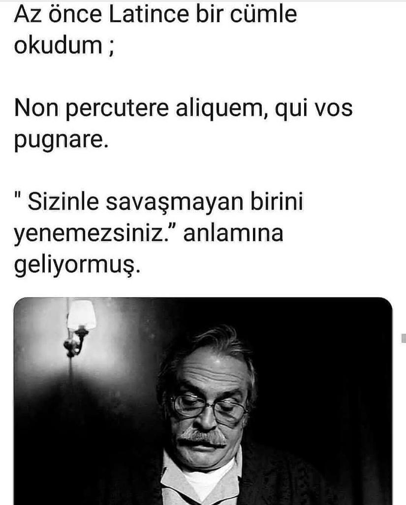 Melda Durdu (@durdumelda) on Twitter photo 