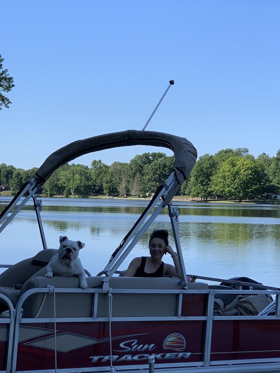 aaronmhurt's tweet photo. Two bulldogs, just hanging out. https://t.co/FQQ56geDbe