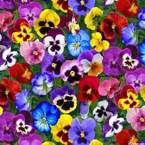 unablesister's tweet photo. did u guys know they made the flowers from animal crossing real? https://t.co/nu0Ykqvndb