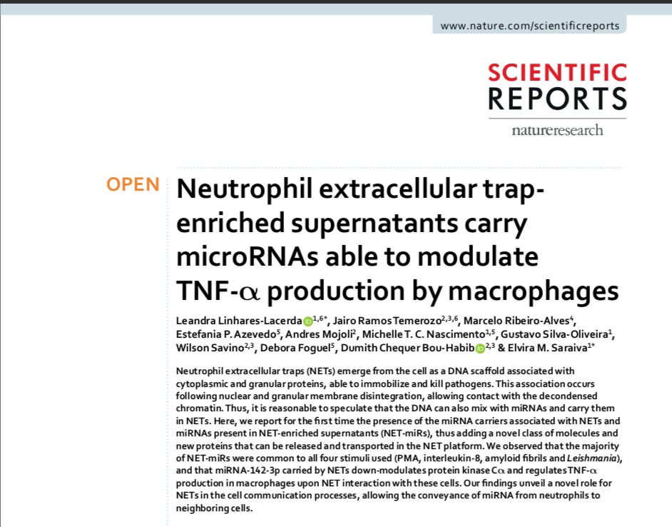 Article from @SciReports! #NeutrophilExtracellularTrap-enriched supernatants carry #microRNAs able to modulate TNF-α production by #macrophages. | Author: @SavinoWilson
doi.org/10.1038/s41598…