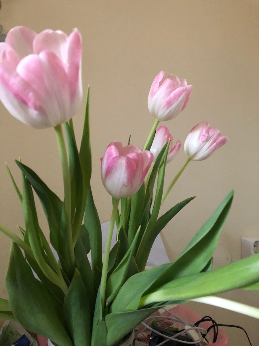 Salome9876's tweet photo. #photography #houseandhome #apartements
#vase #Electricity #warming #thefloor https://t.co/itQ7CWfyRB