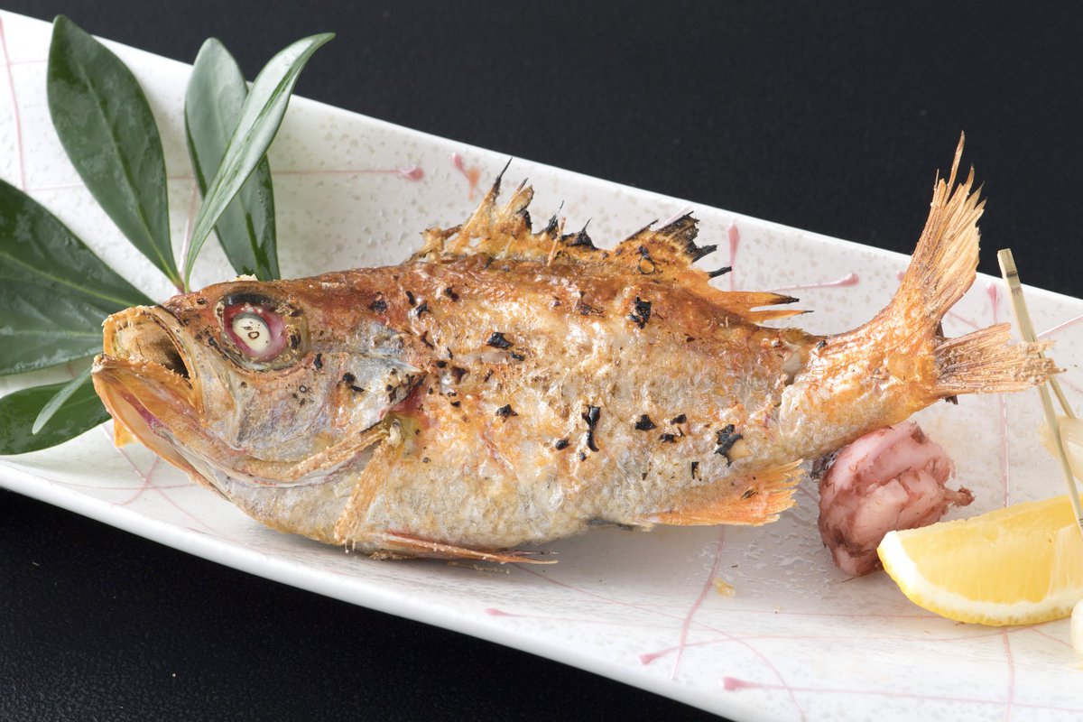 三朝館 鳥取の温泉宿 三朝温泉 みささおんせん 旅の最大の楽しみは その土地ならではのものを美味しくいただくこと 華やぎとくつろぎの時を心おきなくお楽しみ下さい 三朝館hp T Co Okllk4ihny 三朝館 三朝温泉 鳥取 温泉 旅館 Love