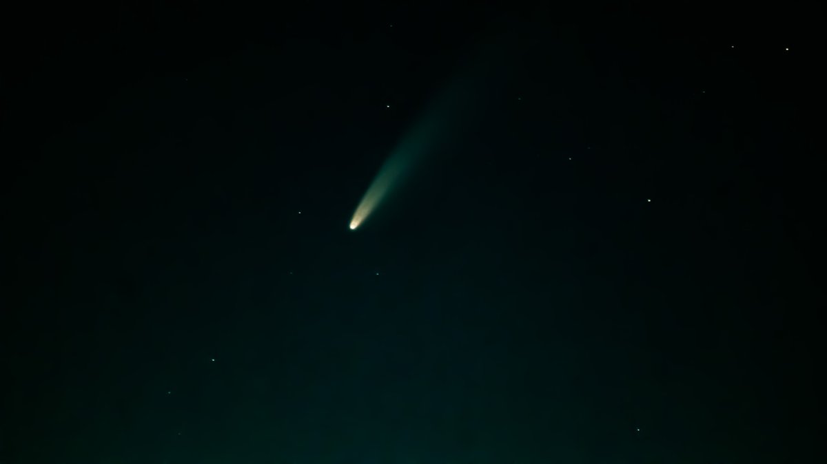 Michelle Clark tweet media