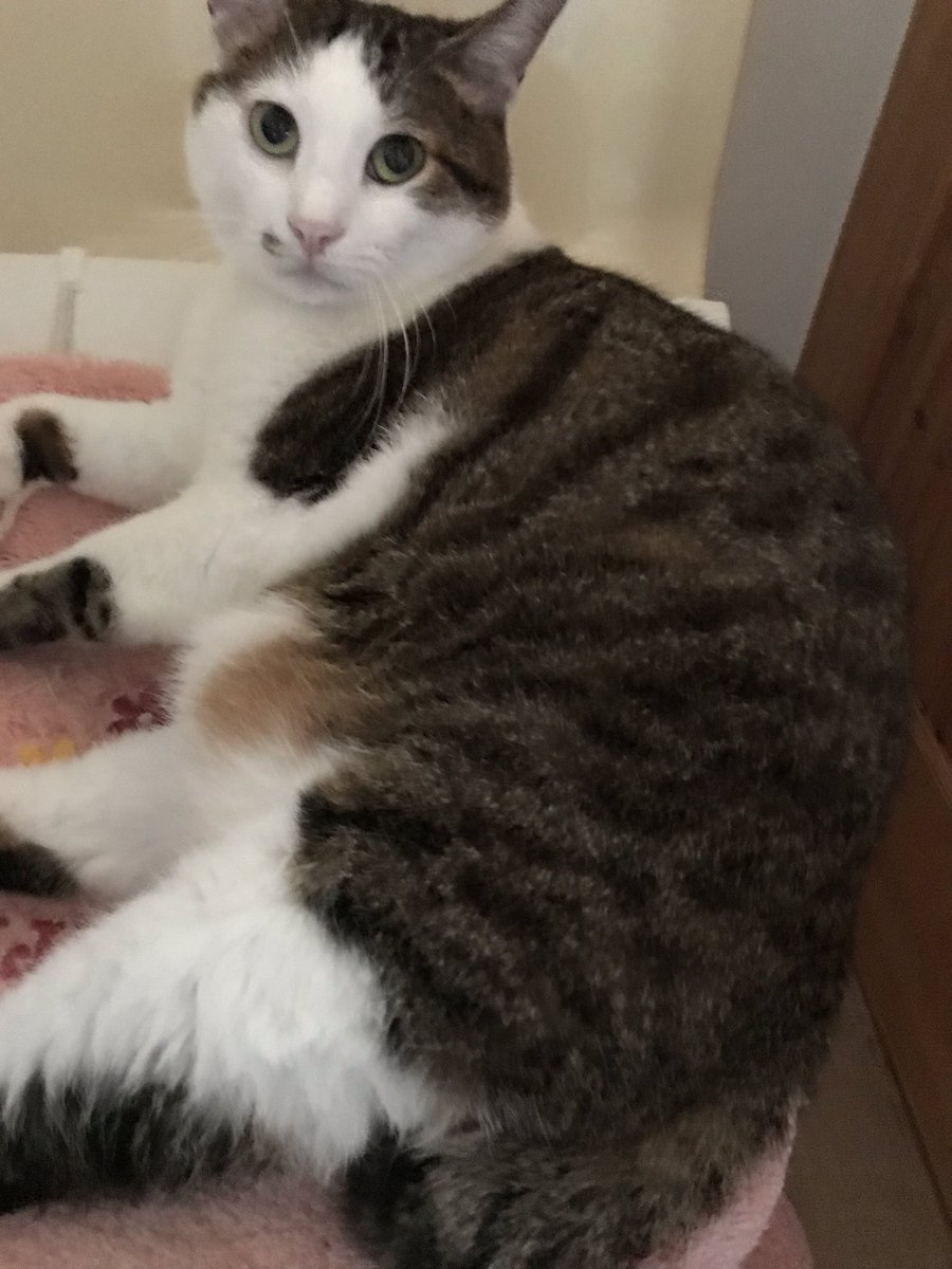 どいて欲しいんですけどー💦
向き変えたしー💦