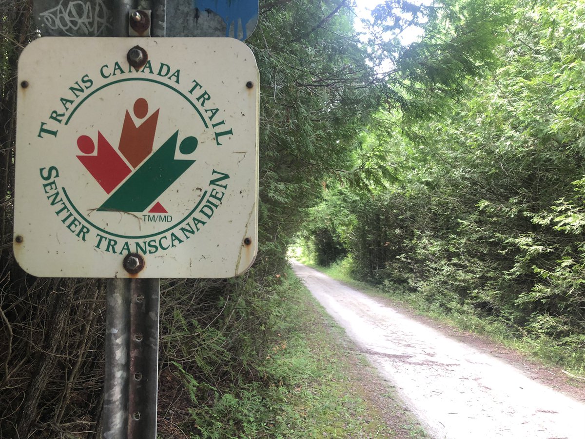 LaguitoGal's tweet photo. I really, really wish I had gotten my butt out the door earlier today. 6 HOT kms, but so beautiful that it was worth the half litre of sweat & the blood I lost to mosquitoes & deerflies๐
#CountryRunner #Damselfly #wildflowers #TrailTime https://t.co/FeIfj0ktjo