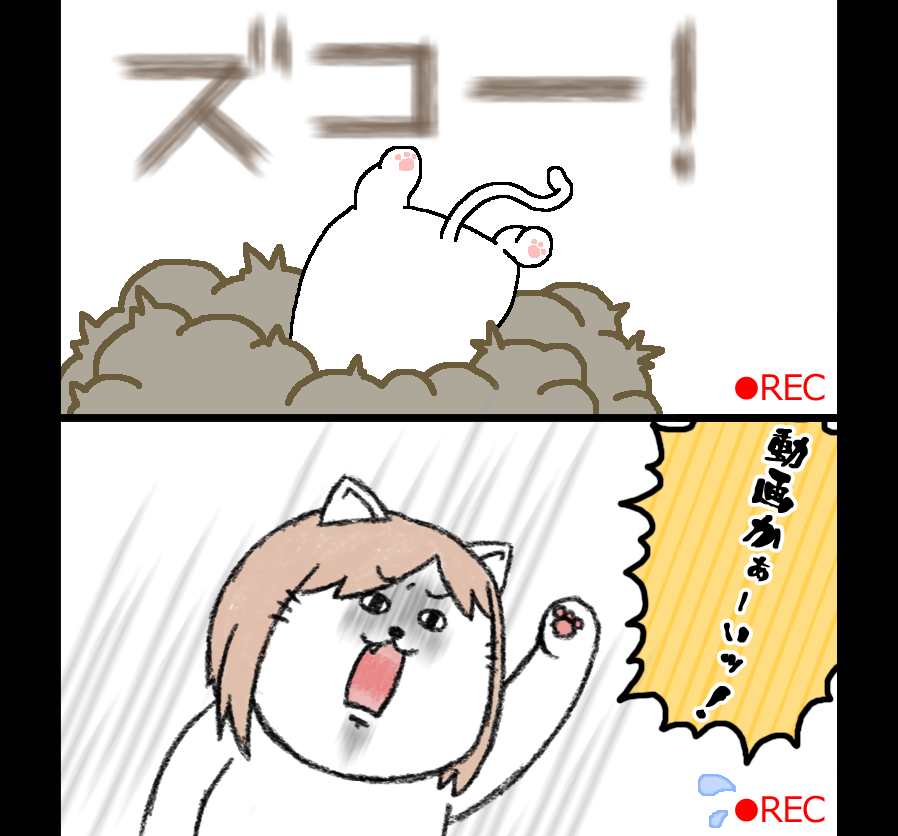 【日刊たのしい前川】
写真を撮ろうとしたら動画だったし、なんか昔のギャグマンガみたいなツッコミをしちゃった前川 