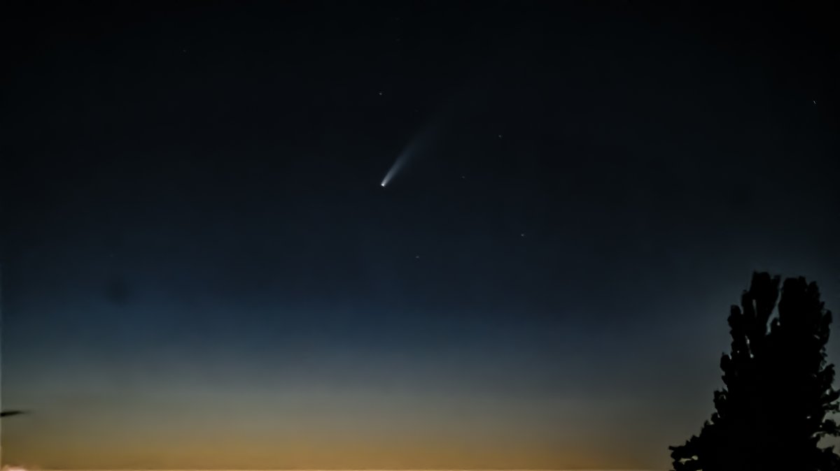 Michelle Clark tweet media