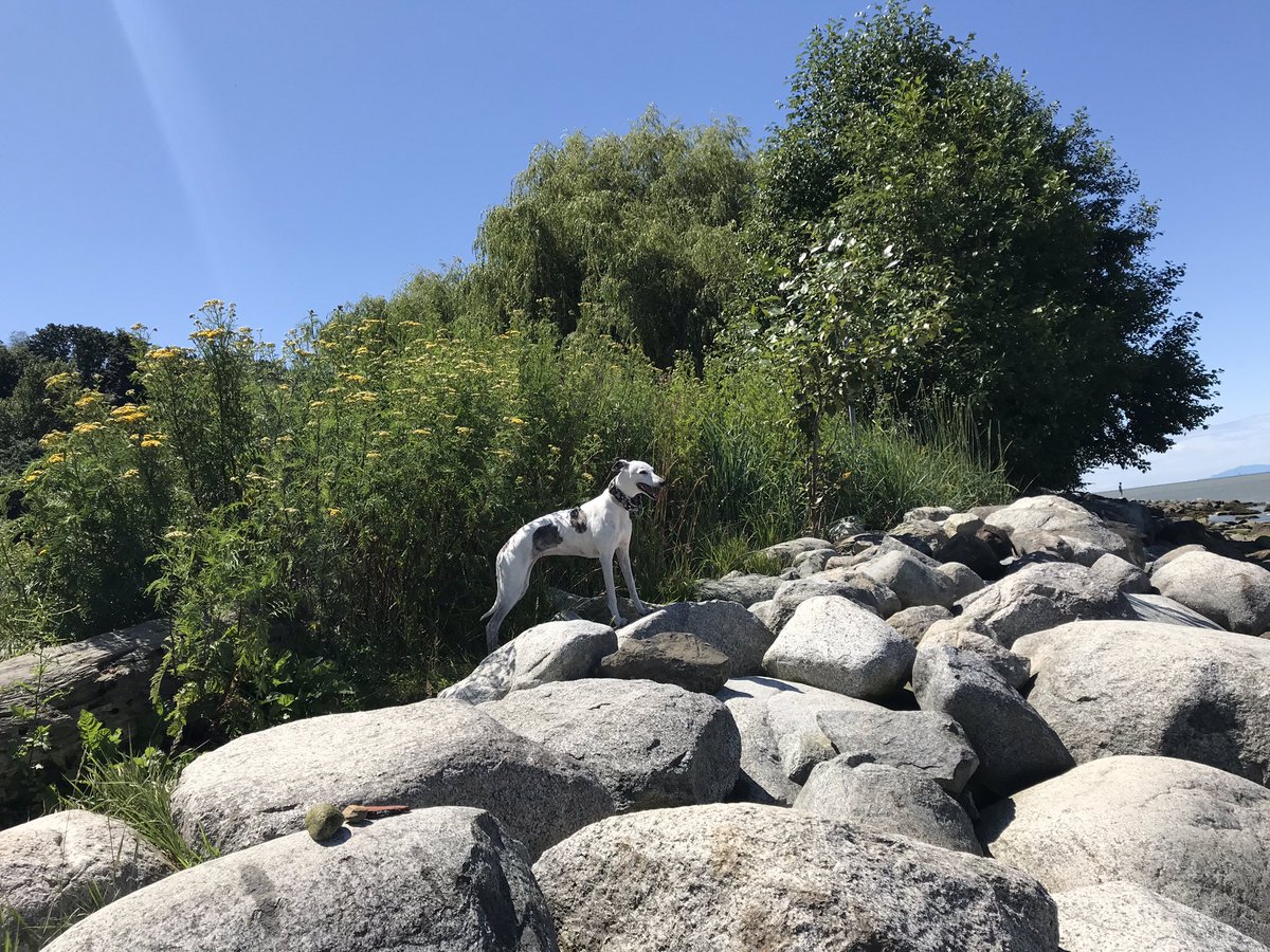 ❤️ climbing on rocks