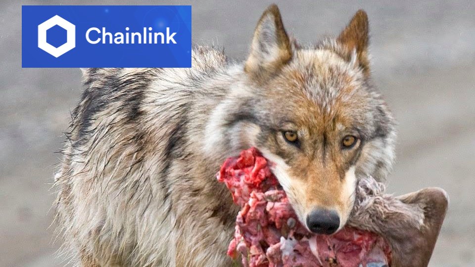 chainlinkwolf's tweet photo. Attn #shitcoins - We're comin' for ya. $LINK #chainlink #poweredbychainlink #linkwolf #linkmarines https://t.co/4ea6jdBZGK